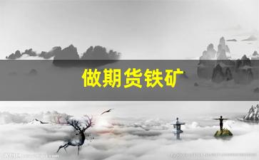 做期货铁矿(期货市场铁矿石)_https://www.fzdzcxj.com_上交所_第1张
