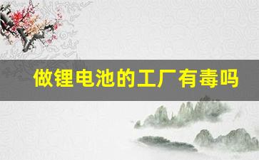 做锂电池的工厂有毒吗(锂电池制造厂有毒吗)_https://www.wanyuyiyao.com_创业板_第1张