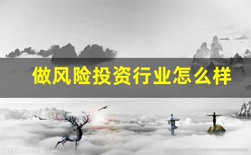 做风险投资行业怎么样(做风险投资需要什么专业)_https://www.haiwangdasha.com_中金所_第1张