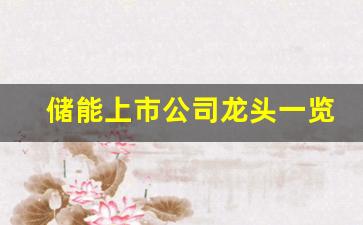 储能上市公司龙头一览表(储能上市公司龙头股)_https://www.lclxwz.com_大商所_第1张