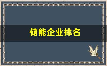储能企业排名(储能企业排名榜单)_https://www.nalian8.com_上交所_第1张