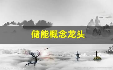 储能概念龙头(储能概念龙头股ETF)_https://www.qldgs.com_内盘期货_第1张