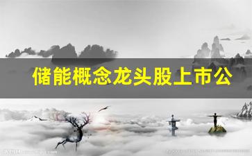 储能概念龙头股上市公司(储能概念龙头股上市公司有哪些)_https://www.brunchezvous.com_自由行_第1张