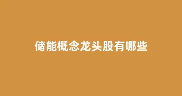 储能概念龙头股有哪些(储能概念龙头股有哪些股票)_https://www.dcjwmf.com_上期所_第1张