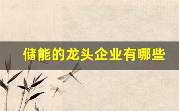 储能的龙头企业有哪些(储能概念龙头企业)_https://www.nalian8.com_科创板_第1张