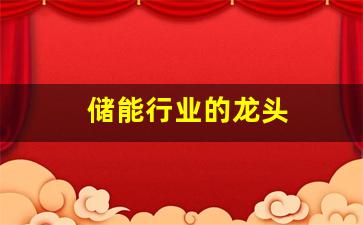 储能行业的龙头(储能行业龙头基金)_https://www.heiljjianzu.com_创业板_第1张