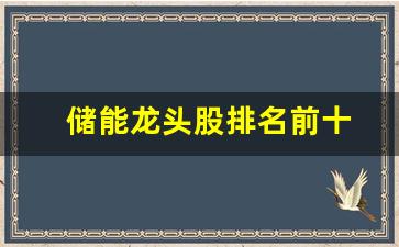 储能龙头股排名前十(储能龙头股排名前十名)_https://www.wanyuyiyao.com_北交所_第1张