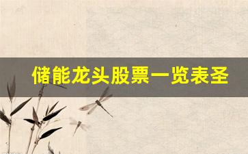 储能龙头股票一览表圣阳股份(储能 龙头股票)_https://www.qldgs.com_原油期货_第1张