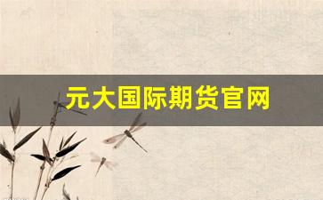 元大国际期货官网(元大期货香港有限公司官网)_https://www.jumanxin.com_上交所_第1张