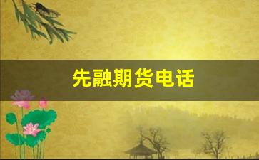 先融期货电话(先融期货是正规平台吗)_https://www.xzdzcjx.com_科创板_第1张