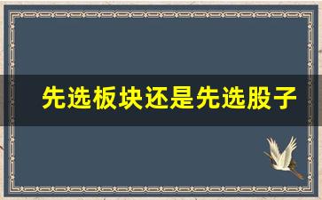 先选板块还是先选股子(选股票先看什么再看什么)_https://www.eamstsz.com_上交所_第1张
