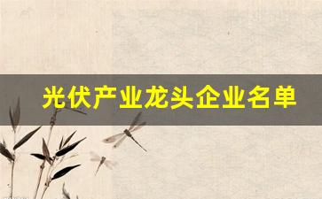 光伏产业龙头企业名单(光伏产业龙头企业名单公示)_https://www.wguangz.com_大商所_第1张