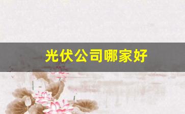 光伏公司哪家好(光伏公司哪家好点)_https://www.haiwangdasha.com_中金所_第1张