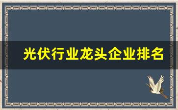 光伏行业龙头企业排名上海(光伏行业龙头企业排名)_https://www.taocizhiliang.com_装修公司_第1张