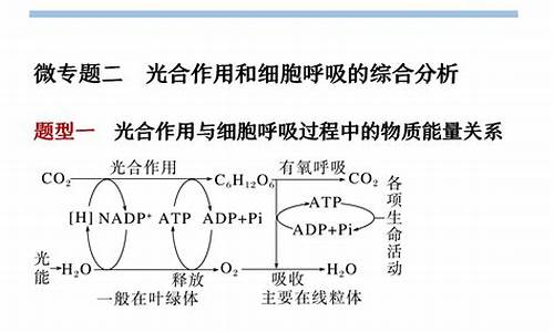 光合作用高考,光合作用高考真题