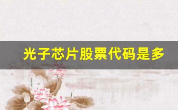 光子芯片股票代码是多少(光子芯片前景)_https://www.shshucaipeisong.com_北交所_第1张