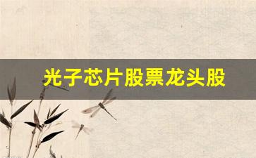 光子芯片股票龙头股(光子芯片 量产)_https://www.gzyhshgzzx.com_大商所_第1张