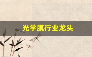 光学膜行业龙头(光学膜龙头企业)_https://www.ljyuan-tech.com_北交所_第1张