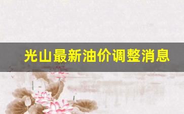 今日光山县最新的新闻-光山最新油价调整消息