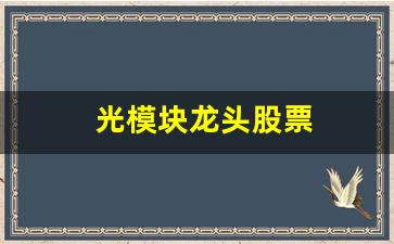 光模块龙头股票(光模块龙头股票一览表)_https://www.haiwangdasha.com_郑商所_第1张