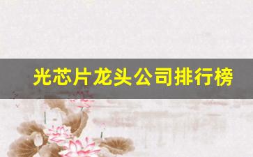 光芯片龙头公司排行榜(光芯片龙头股票)_https://www.hangfeite.com_北交所_第1张