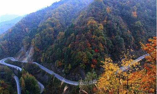 光雾山旅游攻略2日游,光雾山游玩攻略