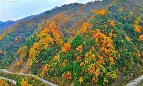 光雾山旅游攻略成都推荐_光雾山成都自驾需要几天时间