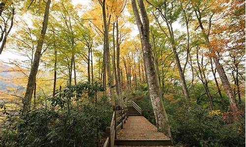 光雾山旅游攻略自驾游路线图,光雾山旅游攻略自驾游