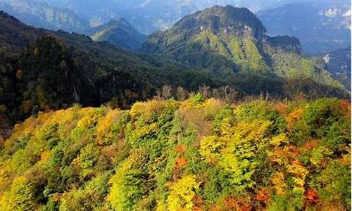 光雾山风景区攻略,光雾山旅游攻略马蜂窝