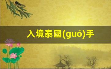 入境泰國(guó)手續(xù)(入境泰國(guó)需要什么手續(xù))