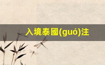 泰國(guó)入境必備攻略，手續(xù)證件全解析及注意事項(xiàng)