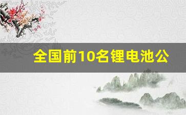 全国前10名锂电池公司排名(全国前10名医院排名)_https://www.dongshengweixin.com_科创板_第1张