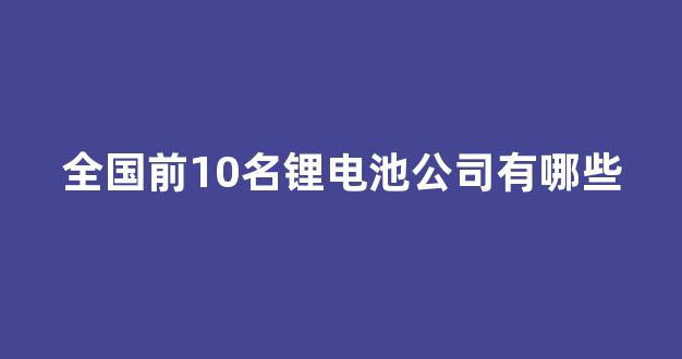 全国前10名锂电池公司有哪些_https://www.wanyuyiyao.com_科创板_第1张