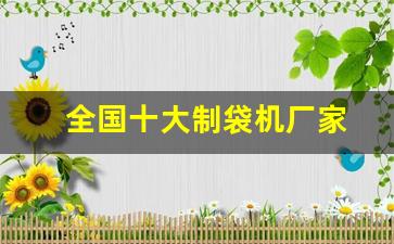 全国十大制袋机厂家(全国十大制袋机厂家排名)_https://www.hangfeite.com_创业板_第1张