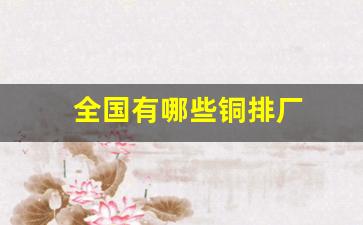 全国有哪些铜排厂_https://www.hn-life.com_创业板_第1张