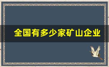 全国有多少家矿山企业(全国有多少矿山公司)_https://www.erdeww.com_期货_第1张