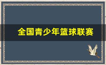 全国青少年篮球联赛怎么报名-全国青少年篮