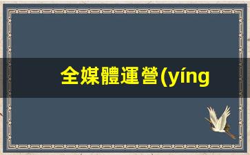 全媒體運營(yíng)師培訓有用嗎插圖