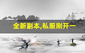 新开一秒sf:全新副本,私服刚开一秒丰富多样等你探索!(纯副本手游)