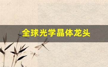 全球光学晶体龙头(中国光学晶体)_https://www.gzyhshgzzx.com_广期所_第1张
