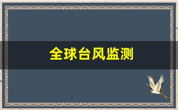 全球台风监测软件_全球台风监测