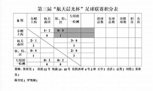 世界足球职业联赛排名_全球足球职业联赛积分排名