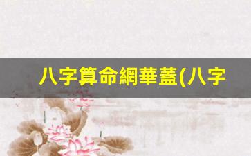 八字算命網華蓋(八字算命詳細精批一生)