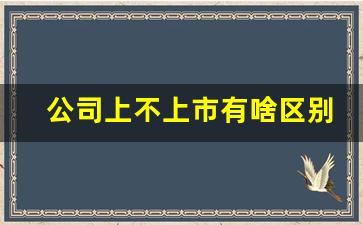 公司上不上市有啥区别(公司上市或不上市有什么区别)_https://www.jumanxin.com_北交所_第1张