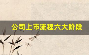公司上市流程六大阶段是什么(公司上市流程六大阶段IPO是哪个阶段)_https://www.hangfeite.com_深交所_第1张