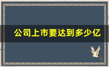 公司上市要达到多少亿(一个公司上市有多难)_https://www.luoxuangg888.com_上交所_第1张