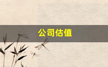 公司估值(公司估值简单计算公式)_https://www.gen-fastener.com_上期所_第1张