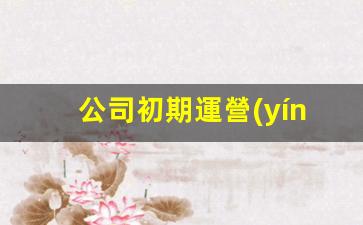 公司初期運營(yíng)策略插圖