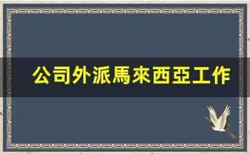 公司外派馬來西亞工作簽證(公司外派馬來西亞工作簽證好辦嗎)