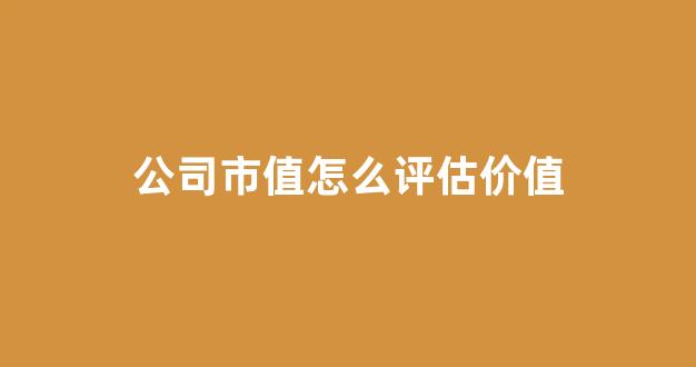 公司市值怎么评估价值(公司市值如何评估)_https://www.dongshengweixin.com_北交所_第1张
